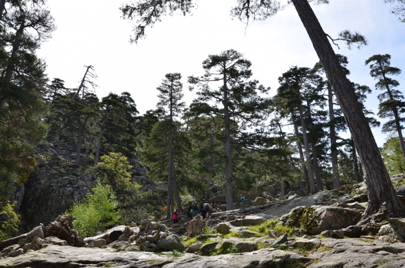 Корсика. Неделя на острове красоты. Май 2014