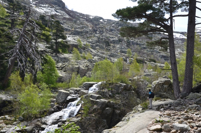 Корсика. Неделя на острове красоты. Май 2014