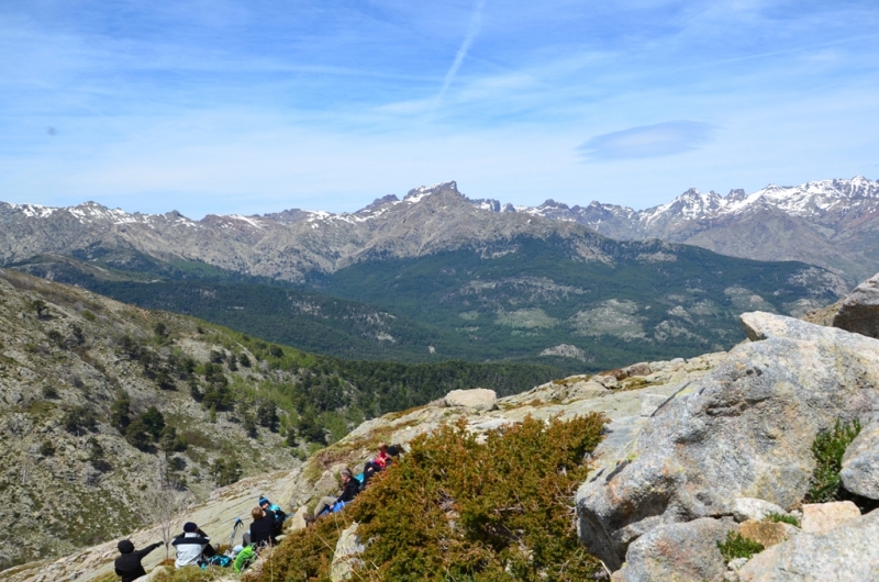 Корсика. Неделя на острове красоты. Май 2014