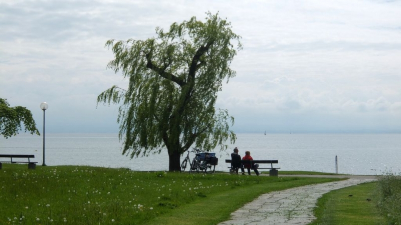 На велосипеде