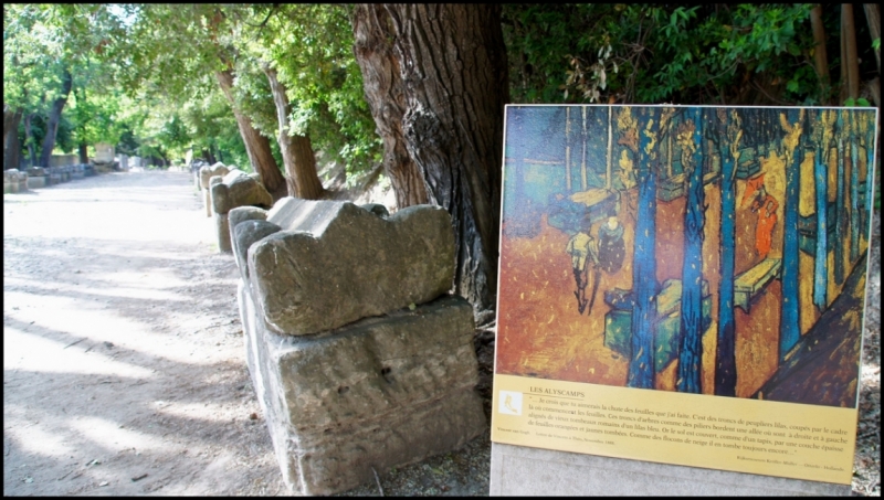 Французское меню (Прованс + Париж)