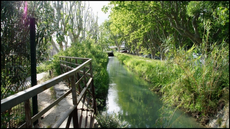 Французское меню (Прованс + Париж)