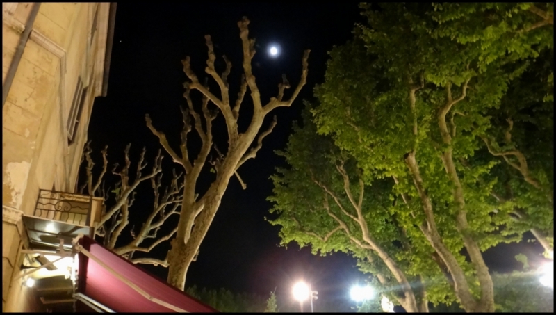 Французское меню (Прованс + Париж)