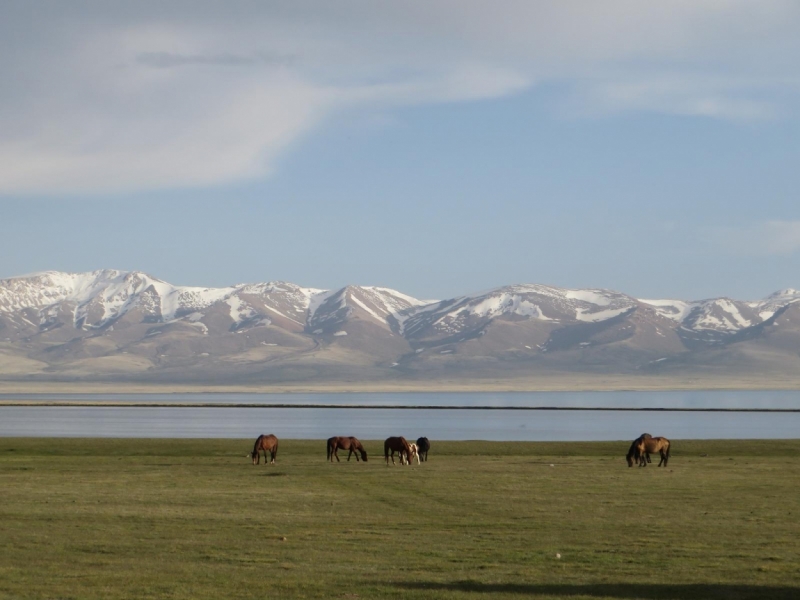 Дневник из северной Киргизии: вокруг Иссык Куля и Сон Куль
