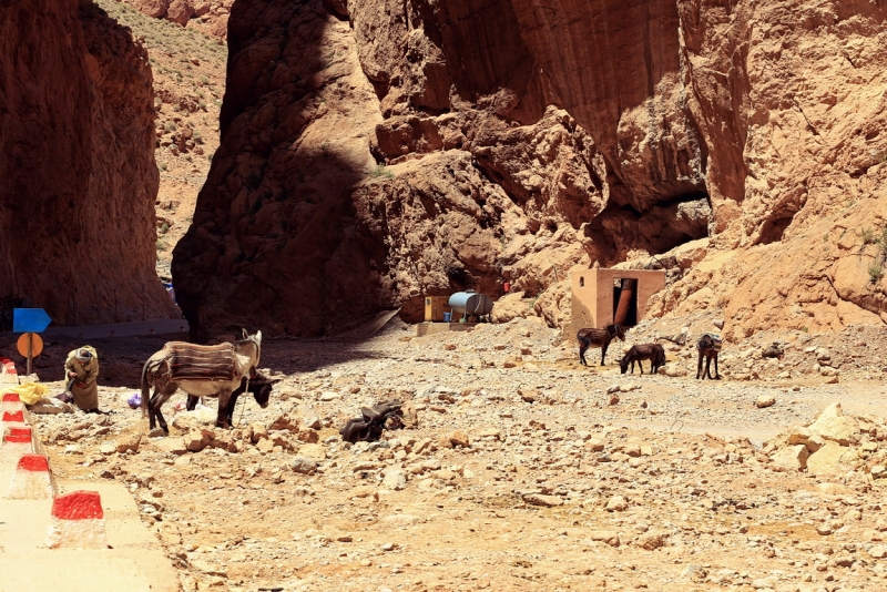 Бюджетное путешествие по Марокко. Практичный отчет. Много фото. Часть 1