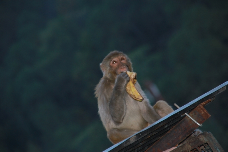 Индия налегке…жизнь начинается там, где заканчивается асфальт