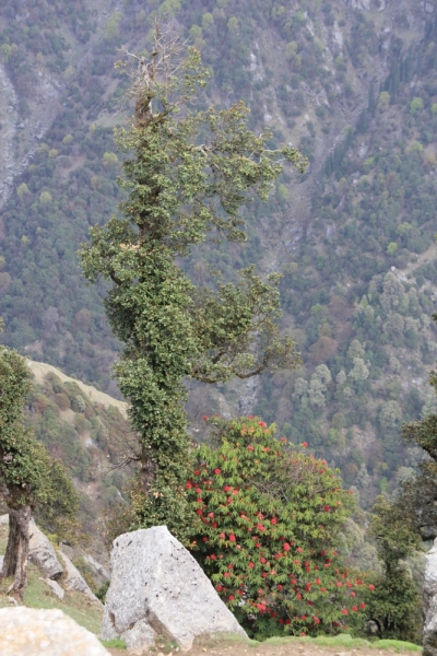 Индия налегке…жизнь начинается там, где заканчивается асфальт