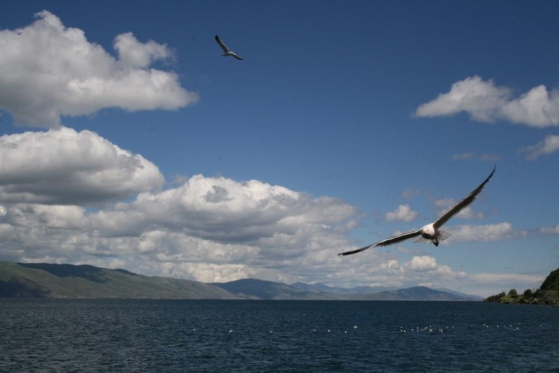 Страна- открытие или Армения за три дня