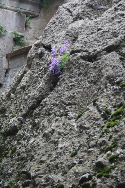 Страна- открытие или Армения за три дня