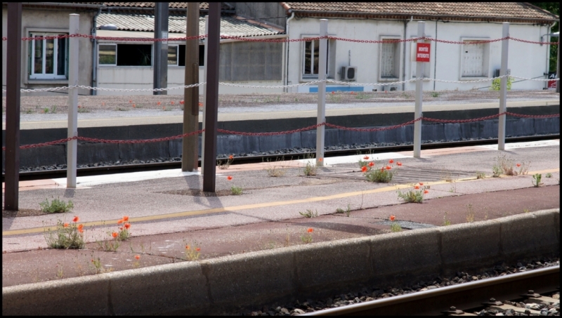 Французское меню (Прованс + Париж)