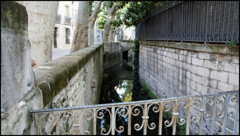 Французское меню (Прованс + Париж)