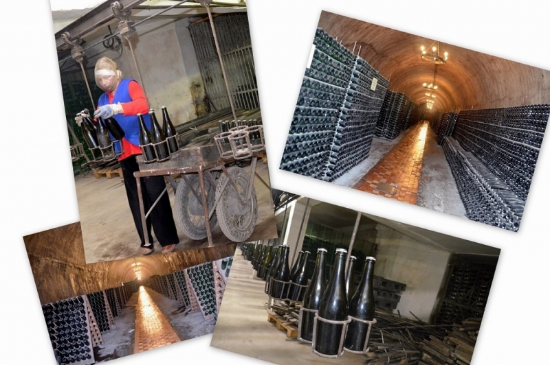 Фотозагадки - 2014