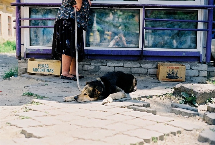 Их быт и нравы: интересные сцены из повседневной жизни (фото)-2
