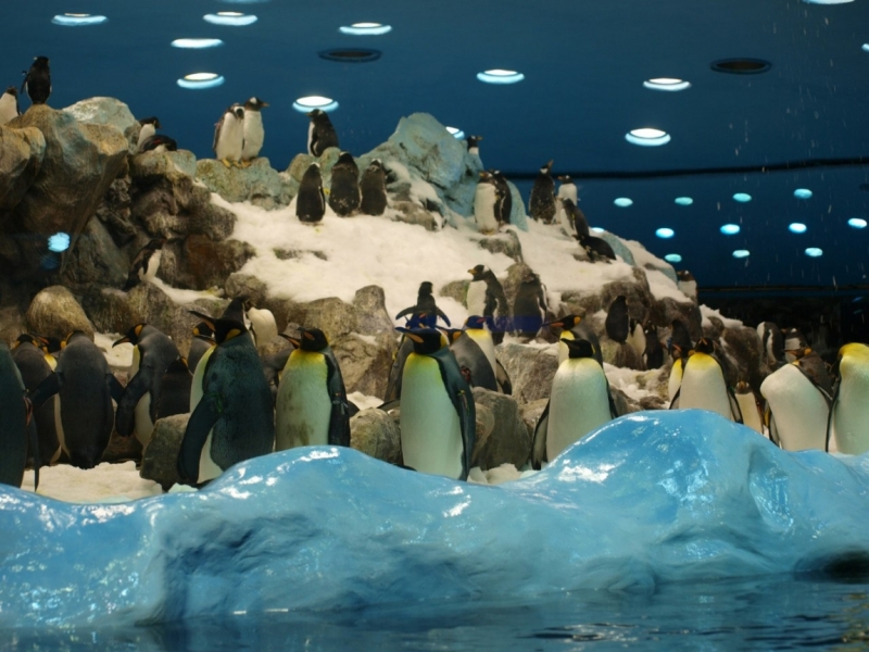 Тенерифе 2014