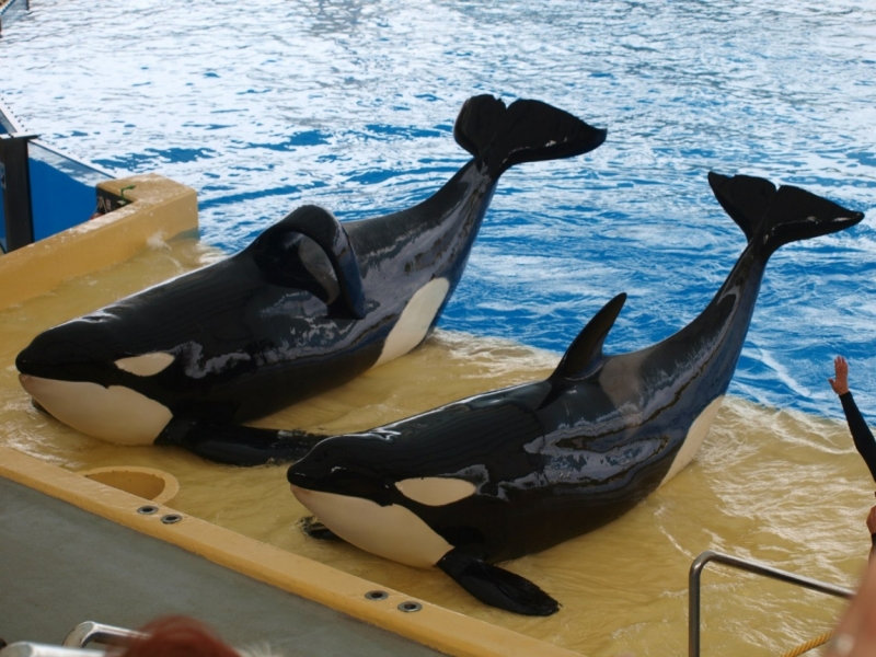 Тенерифе 2014