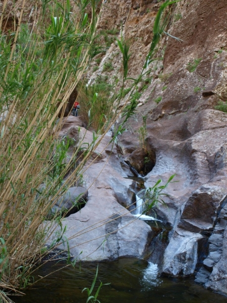 Тенерифе 2014