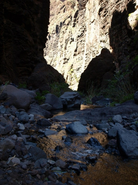 Тенерифе 2014