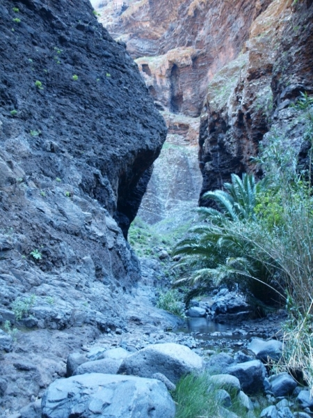 Тенерифе 2014