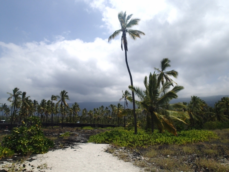 Алоха! Путешествие по Big Island Гавайи