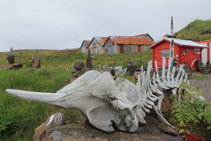 Исландия июль 2013 на мини кемпере