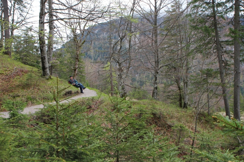 Майская Бавария