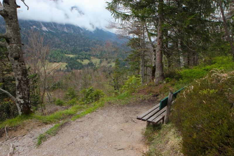 Майская Бавария