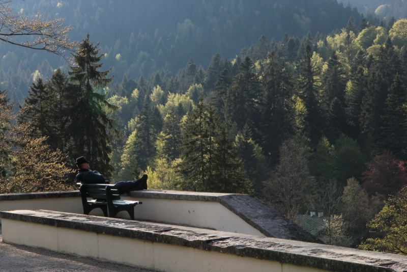 Майская Бавария