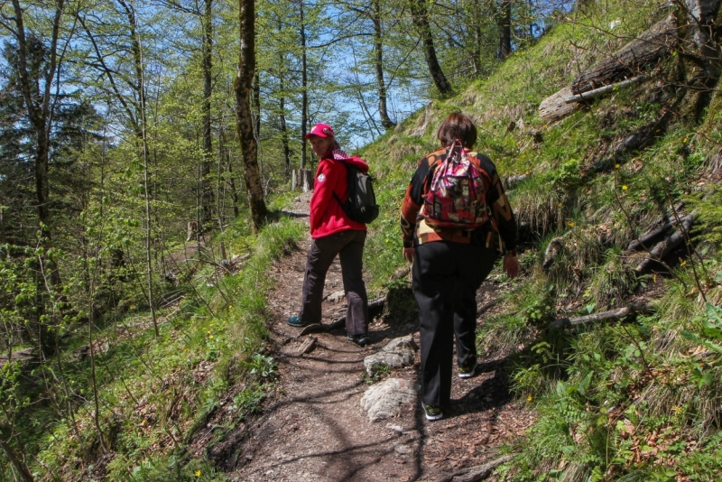 Майская Бавария