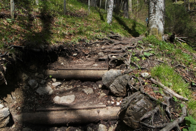 Майская Бавария