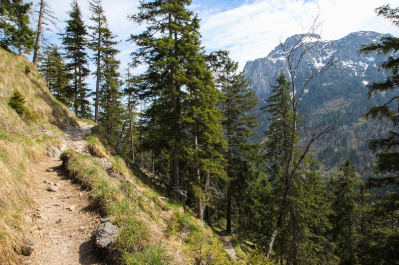 Майская Бавария