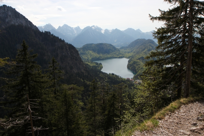 Майская Бавария