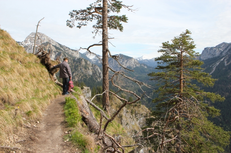 Майская Бавария