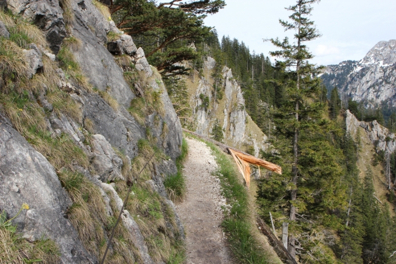 Майская Бавария