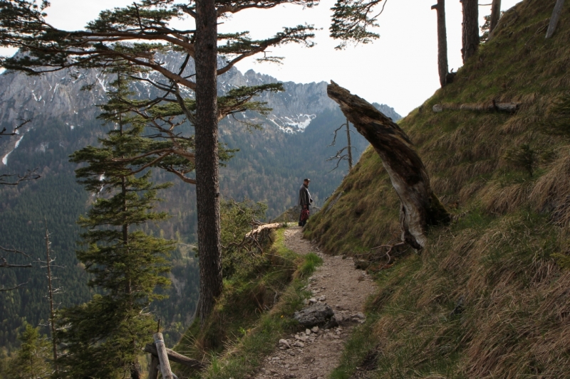 Майская Бавария