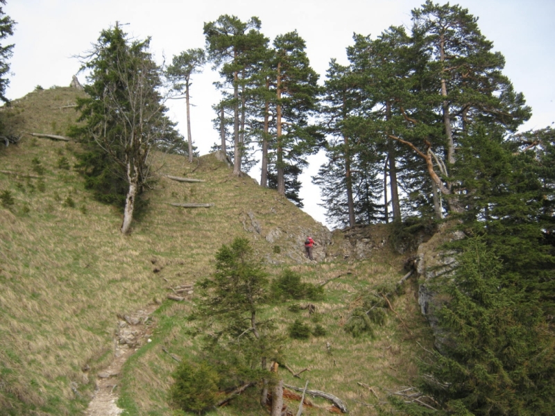 Майская Бавария