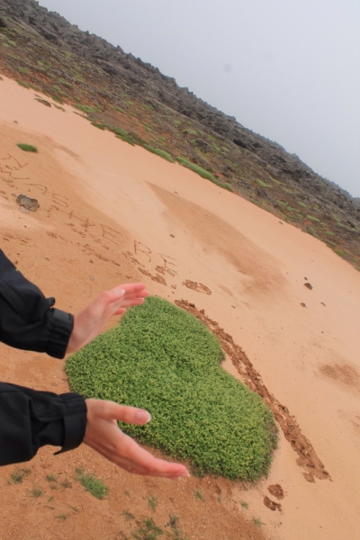 Исландия июль 2013 на мини кемпере