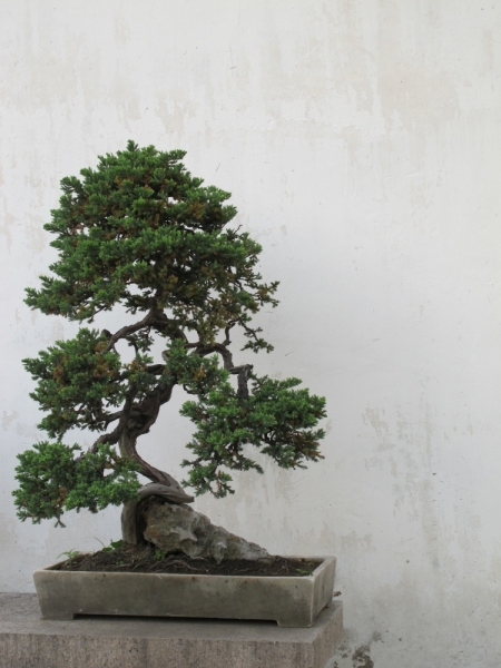 Шанхай-Яншо-Гуйлинь на майские