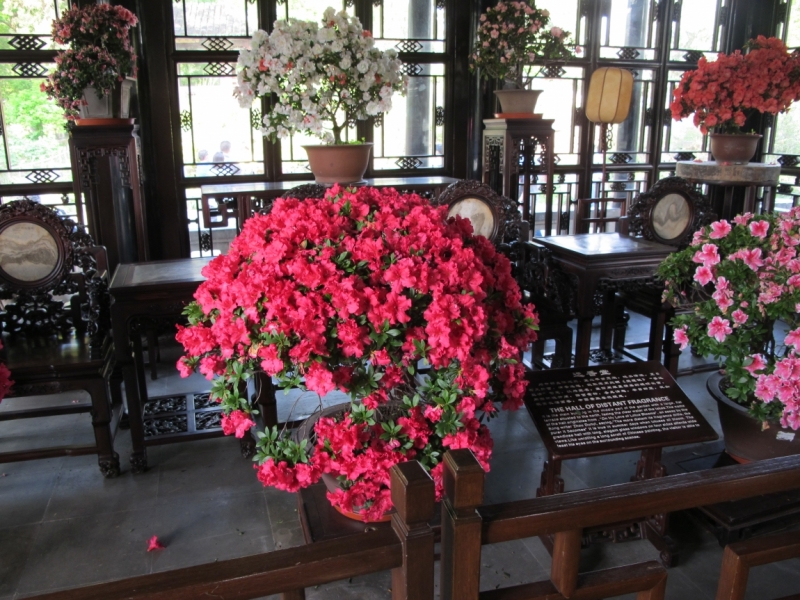 Шанхай-Яншо-Гуйлинь на майские