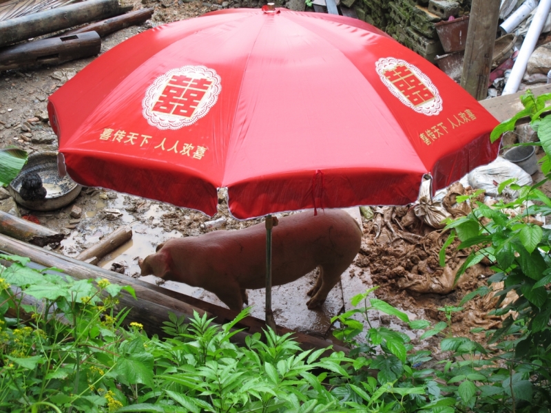 Шанхай-Яншо-Гуйлинь на майские