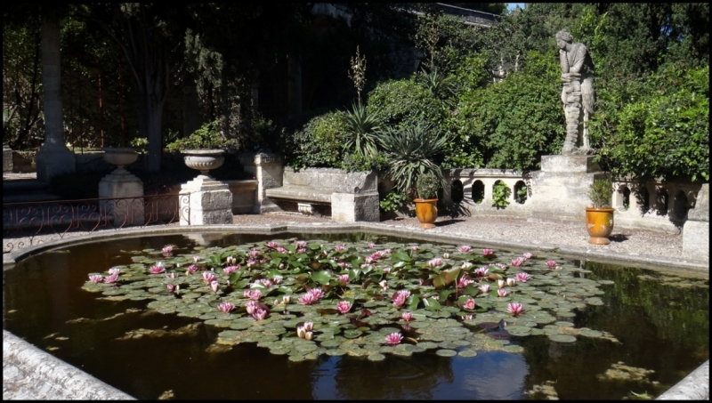 Французское меню (Прованс + Париж)