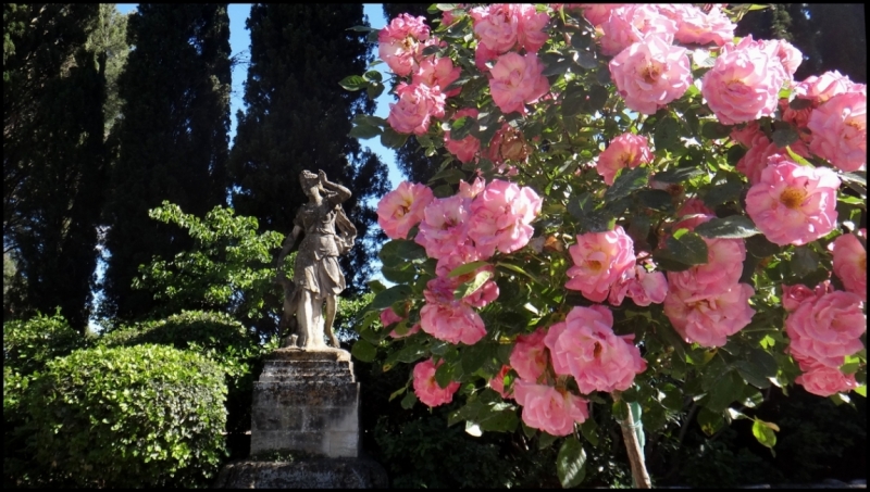 Французское меню (Прованс + Париж)