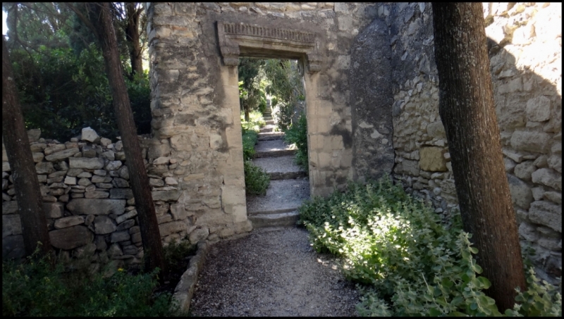 Французское меню (Прованс + Париж)