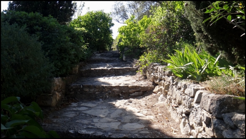 Французское меню (Прованс + Париж)