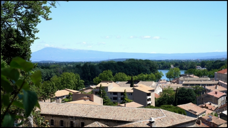 Французское меню (Прованс + Париж)