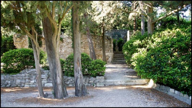 Французское меню (Прованс + Париж)