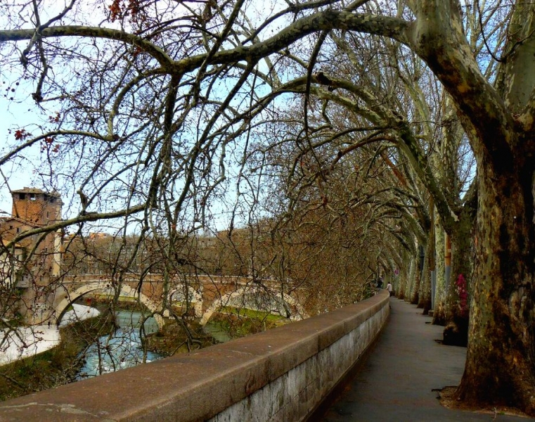 Дороги, тропы: куда они нас ведут - тут фотоответ