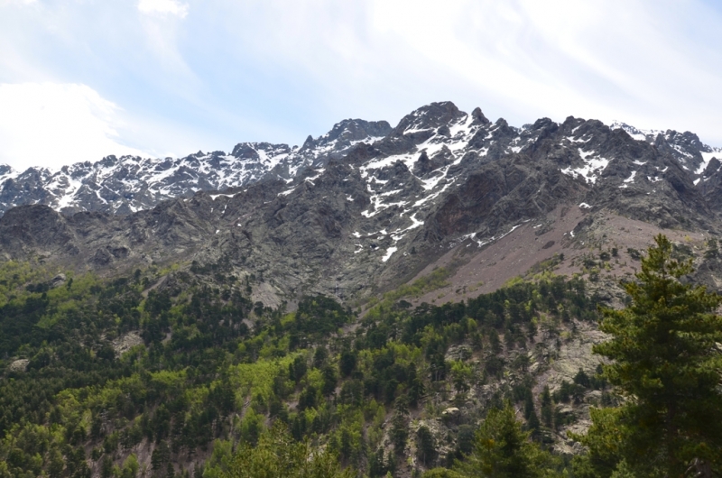 Корсика. Неделя на острове красоты. Май 2014