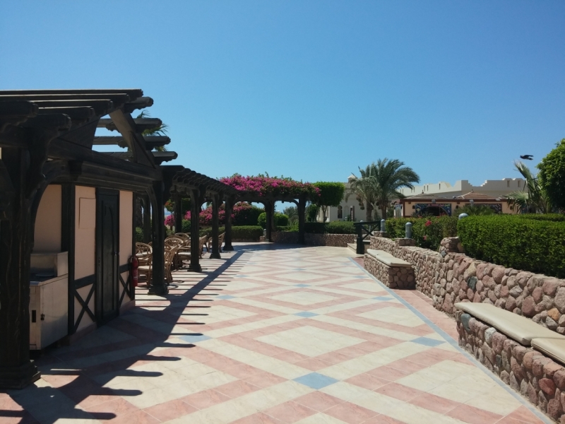 Египет, Шарм-эль-шейх, Sea Club Resort, июнь 2014 Египет, Шарм-эль-шейх, Sea Club Resort, июнь 2014