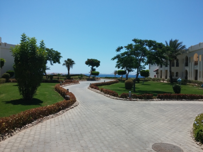 Египет, Шарм-эль-шейх, Sea Club Resort, июнь 2014