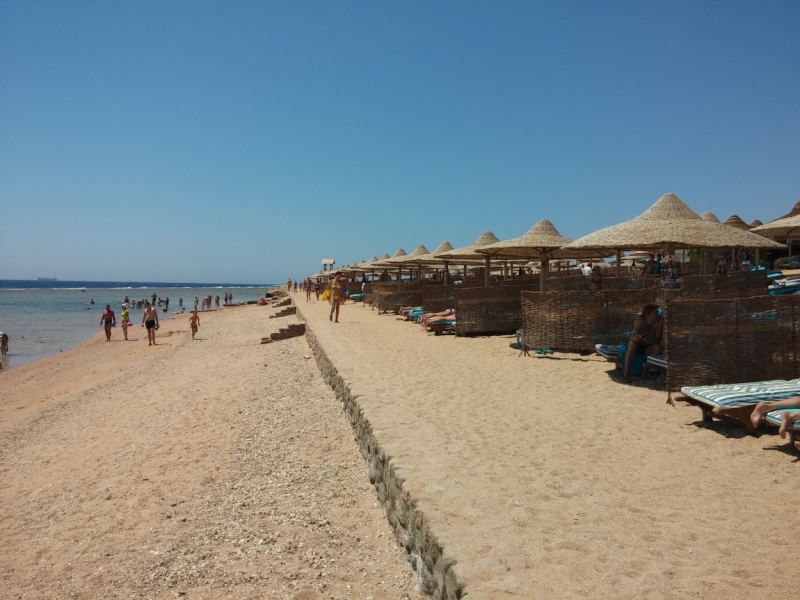 Египет, Шарм-эль-шейх, Sea Club Resort, июнь 2014 Египет, Шарм-эль-шейх, Sea Club Resort, июнь 2014